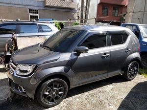 Parasoles para Ventanas de Coche, Material PMMA, 100% Compatibles con SUZUKI IGNIS 2016 en Adelante - Product Image 2