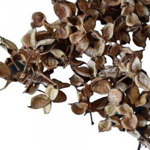 Festival de Mars : Qualité supérieure, coton écologique, pétales DIY pour la remise des diplômes, Halloween, mariage, fête des Mères, événements à domicile et au bureau - Product Image 1