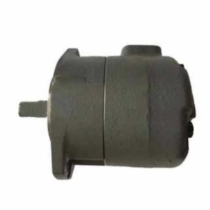 Pompe hydraulique à palettes série SQP, modèles SQP1, SQP2, SQP3, SQP4, SQP21, SQP31, SQP1-8-1D2-15 – Pompe à huile hydraulique durable - Product Image 5