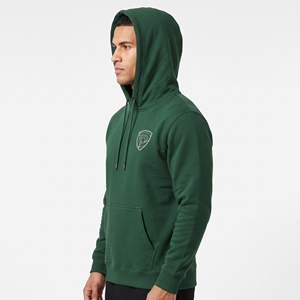 Sweat-shirt à capuche en molleton vert pour homme Dumela avec logo brodé, poche avant, coupe décontractée, vêtement d'automne - Product Image 5