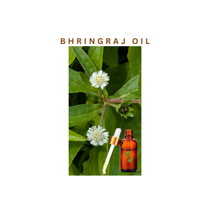 Versatile Bhringraj Oil for Hair Care Blends Cosmetic Formulations Personal Care Products Botanical Manufacturing and Profession - Product Image 3