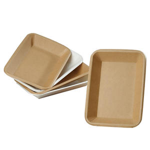 Platos de Palma de Areca Premium con Vajilla Desechable Resistente a Fugas para Alimentos Calientes y Fríos, Uso en Catering y Restaurantes - Product Image 2
