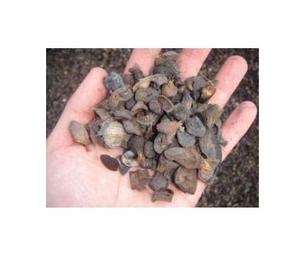 Cáscara de Nuez de Palma de Grado Industrial para Plantas de Energía a Gran Escala - Product Image 1