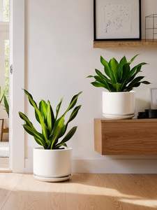 Pot de fleurs décoratif en céramique au design contemporain, pot de fleurs en céramique de haute qualité pour une présentation élégante des plantes - Product Image 6