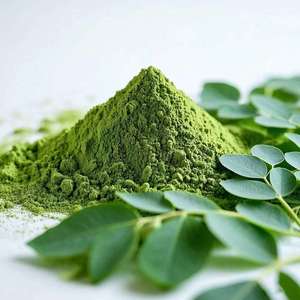Poudre de feuilles de Moringa naturelle pour l'approvisionnement en ingrédients à base de plantes, poudre de feuilles vertes de qualité supérieure pour l'alimentation, les boissons et la vente au détail - Product Image 2
