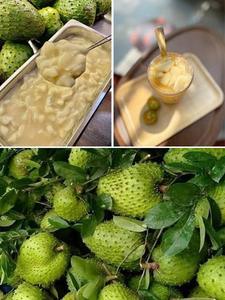 Premium Organic Dried Soursop Graviola Leaves Herbal <b>Tea</b> Bulk Wholesale Export Vacuum Packed OEM Private Label Manufacturer Made - Product Image 4