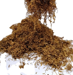 American to Spirit Rolling Herbs Suministro a granel American Blend Spirit Golden Herbs Virginia Amber Leaf Turners Mezclas suministro a granel - Product Image 6