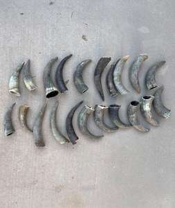 Puntas de Cuerno de Vaca Naturales de Color Blanco, de Alta Calidad, Ecológicas, Hechas a Mano, Estilo Moderno, Decoración para Bodas y Fiestas, Tamaño Personalizado - Product Image 4