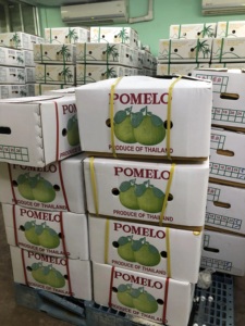 Sweet <strong>Pomelo</strong> 100% Fresh Natural Thai Fruit Wholesales Sweet Fruit Fresh Farm Best Seller From <strong>Thailand</strong> Export Grade - Product Image 6
