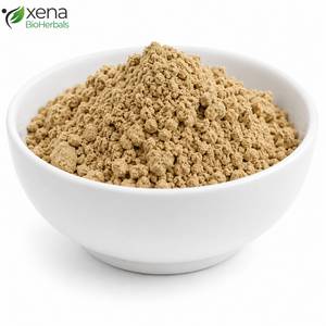 Fournisseur d'ingrédients premium pour le bien-être cognitif : Poudre d'extrait d'Evolvulus Alsinoides, matière première naturelle à base de plantes pour l'Ayurveda - Product Image 1