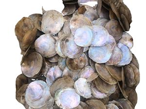 Capiz Shells Crafts Capiz Shells Crafts Suppliers And Manufacturers At Alibaba Com