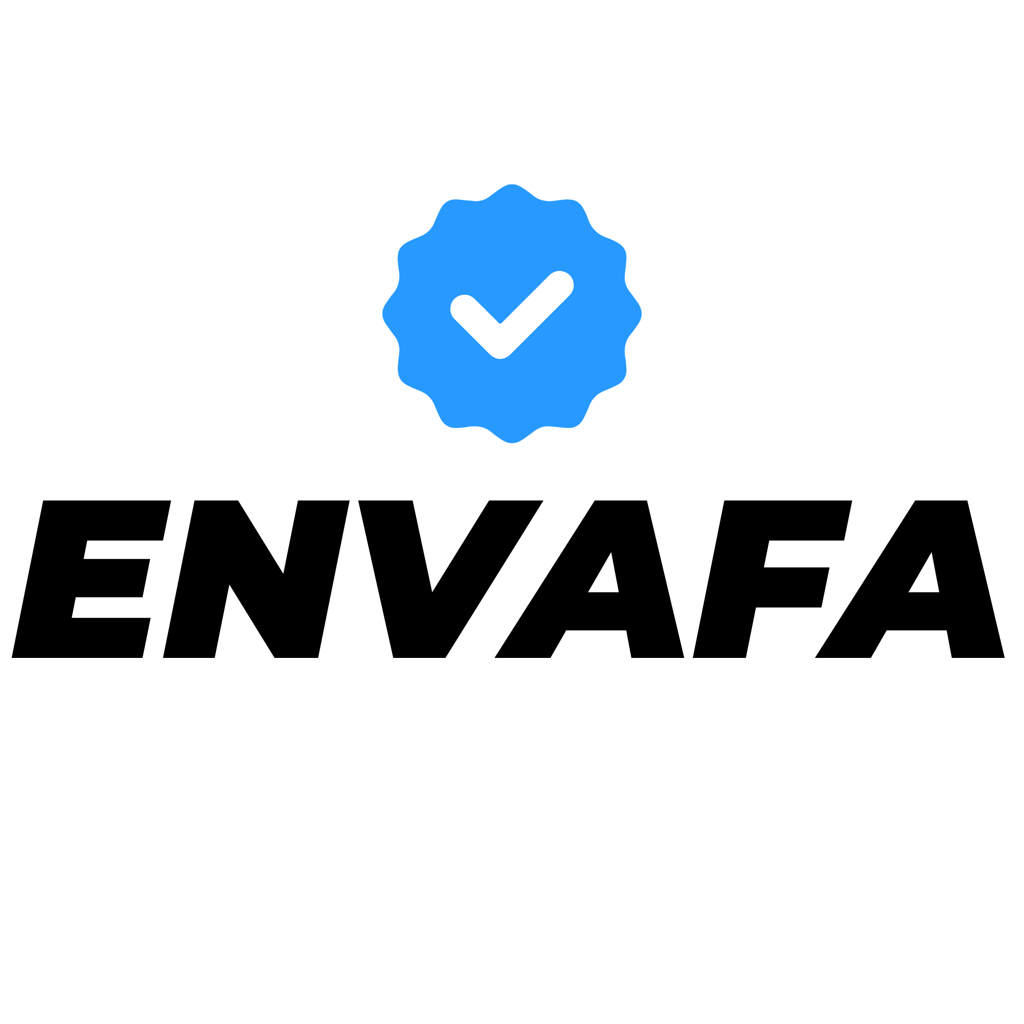 ENVAFA LLC logo