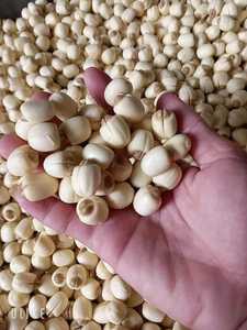 ขนมผลไม้เมืองร้อนอบกรอบเมล็ดบัวทอดสุญญากาศ - Product Image 6