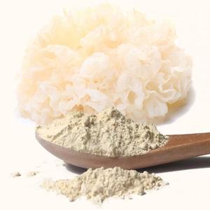Polvo de Hongo Tremella de Alta Calidad al por Mayor, Polvo Natural de Hongo de Nieve a Granel para Formulación Cosmética y Suplementos para la Salud - Product Image 1