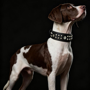 Adjustable Leather <b>Braided</b> Dogs pet Collars with <b>braided</b> detailing for secure and comfortable fit in reasonable price - Product Image 2