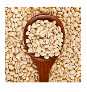 Orge torréfiée bon marché à vendre, teneur élevée en protéines pour la production d'aliments pour animaux, approvisionnement en gros pour l'agriculture - Product Image 1