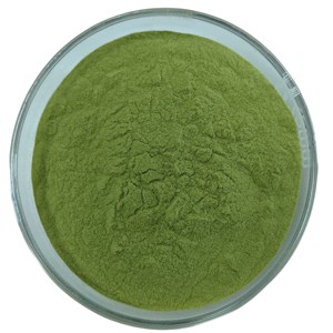 Poudre de Matcha en Gros 100% Pure et Naturelle pour Tisanes, Boissons et Smoothies - Product Image 4