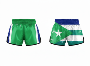Vêtements de sport pour arts martiaux, shorts de Muay Thai, shorts de combat MMA, shorts de kickboxing, entraînement, impression par sublimation personnalisée, tissu polyester - Product Image 4