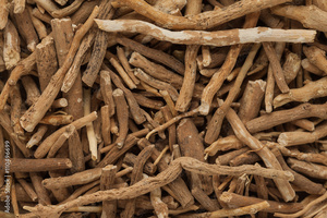 Polvo de Moringa Natural, Polvo de Hoja Pura, Probado en Laboratorio, Proveedor Mayorista - Product Image 3
