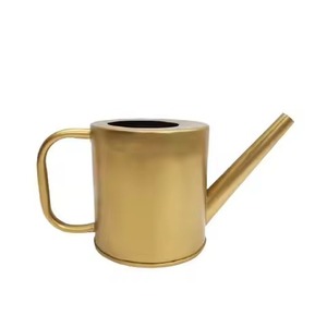 Regadera de Acero Inoxidable Cónica Negra Mate con Mango de Madera Ligero, Novedad Más Buscada, para Escritorio de Oficina y Uso con Suculentas - Product Image 2