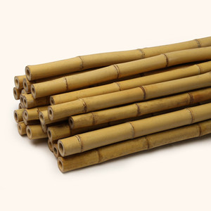 Best quality natural bamboo stake <b>pole</b> supplier sale material <b>for</b> plant support <b>gardening</b> crafting - Product Image 4