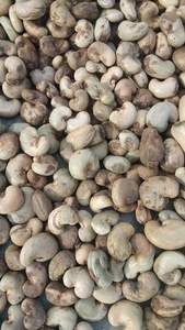 เม็ดมะม่วงหิมพานต์ออร์แกนิกคั่วคุณภาพสูงในเปลือกเกรด 1 บรรจุภัณฑ์แบบกำหนดเอง อายุการเก็บรักษา 2 ปี จากแอฟริกา - Product Image 6