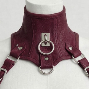 Ensemble de corset gothique pour femme en cuir et dentelle, harnais respirant et écologique, vêtement de mode sexy - Product Image 2