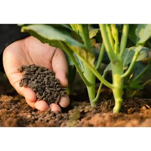 Fertilizante en Polvo con 80% de Aminoácidos, Apto para Tomates, Berenjenas, Pimientos Verdes, Maíz, etc., Forma Natural de Estimular sus Cultivos - Product Image 1