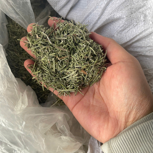 Feuilles de romarin séchées du Vietnam pour la préparation professionnelle de la pâte de boulangerie et la création de pain au levain savoureux par 99 Gold Data - Product Image 1