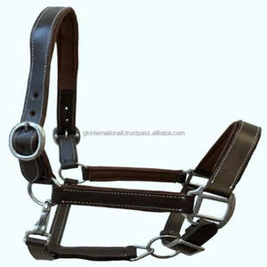 Équipement pour chevaux Collier de tête équestre en cuir noir Corde de plomb assortie avec matériel chromé durable pour toutes les tailles - Product Image 6