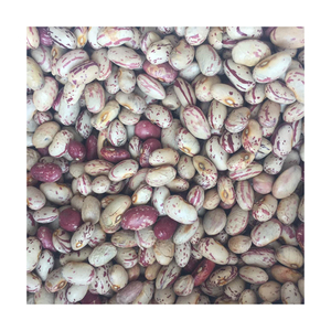 Frijoles blancos moteados de calidad garantizada, suministrados para comercio mayorista y negocios de alimentos - Product Image 5