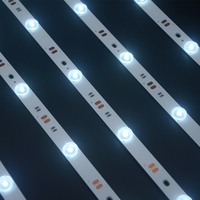 SMD 2835 Personnalisé Led Bande Rigide 160 Degrés 12leds Rgb + cct Aluminium Led Bar Rétro-Éclairage Led Diffuseur Feuille