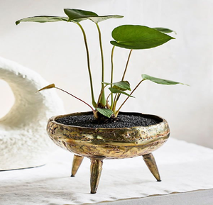 Support de plante sur trépied doré avec panier en fil métallique noir, support de plante en métal style mid-century disponible à prix de gros. - Product Image 4