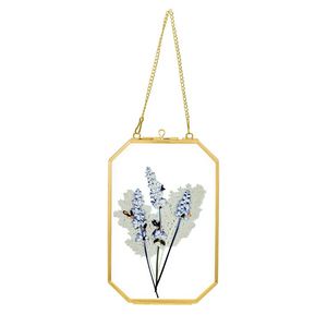 Cadre photo suspendu moderne en laiton et verre, minimaliste, pour fleurs pressées, décoration murale pour la maison - Product Image 1