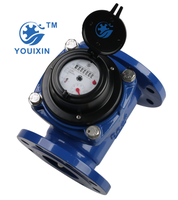 Compteur d'eau à turbine à bride YOUIXIN 40mm 50mm 65mm, corps en fer Classe B, IP68, OEM, garantie 1 an