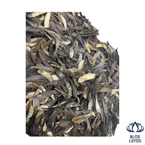 DISPONIBLE AHORA: Operculum de Murex Sostenible de Alta Calidad, Ingrediente para Perfumes e Incienso, Venta Directa de Fábrica - Product Image 1