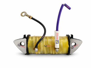 Bobina de Carga AR de Repuesto para Bajaj Boxer AT, Modelo Nuevo, Excelente Calidad, Calidad de Exportación, Repuesto para Motocicleta de Dos Ruedas - Product Image 5