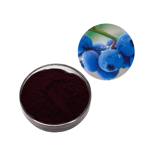 Заводская поставка натуральный антоциановый порошок высокого качества натуральный экстракт черники - Product Image 4