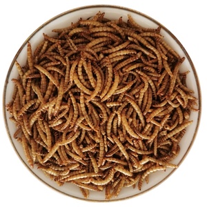 Vermi di Farina di Tenebrio Molitor Biologici Non-OGM Essiccati - Snack ad Alto Contenuto Proteico a Base di Carne Senza Additivi per la Salute Digestiva degli Uccelli - Product Image 1