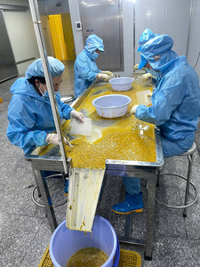 MEILLEURE OFFRE Purée de fruit de la passion congelée sans pépins pour les chaînes de smoothies – Approvisionnement en gros - Product Image 5