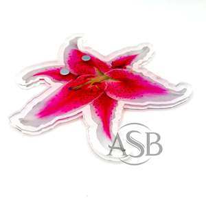 Nouvelle conception 2026 : Palette d'extensions de cils en acrylique en forme de fleur avec logo personnalisé et aimants - Product Image 1
