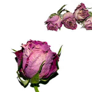 Service OEM Pétales de rose séchés doubles Pétales de rose rouge 2026 Vente en gros Haute qualité Pur Prix raisonnable Emballage personnalisé - Product Image 4