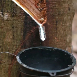 Premium natural <b>white</b> latex rubber 100% pure liquid latex for glove production, <b>balloon</b> making, and adhesives export - Product Image 6