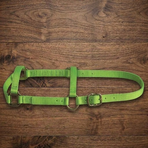 Licol en nylon durable pour cheval avec boucles en laiton et acier, collier de tête en nylon personnalisé, sangle en PVC réglable et robuste - Product Image 3