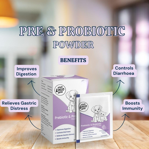 Friandises probiotiques pour chiens et chats : Soutien digestif, bien-être intestinal, renforcement immunitaire – Complément alimentaire naturel pour animaux de compagnie – Marque privée, approvisionnement en gros - Product Image 6