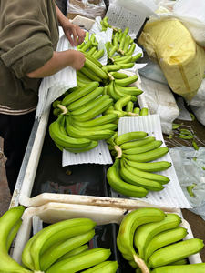 Plátanos Cavendish de primera calidad de Vietnam para exportación, ricos sabores y textura suave, envasados para supermercados y distribuidores - Product Image 2