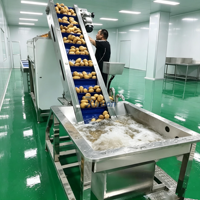 Ligne de production complète de frites surgelées de 500 kg/h avec contrôle intelligent PLC pour usine de transformation de frites