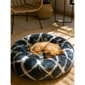 Cuccia per Animali Domestici Super Morbida e Calda, Extra Imbottita come una Nuvola, per Cani e Gatti a Pelo Lungo, con Imbottitura Abbondante, Qualità Premium - Product Image 2