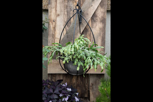 Hanging Wire Flower <b>Basket</b> Wrought Iron Modern Design Outdoor Window Decor <b>Plants</b> Flowers Pot Garden Home Yard Made in India - Product Image 4