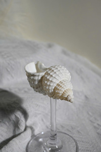 Copa de Vino de Concha Marina Costera, Copa de Cóctel Hecha a Mano con Conchas, Vajilla Inspirada en el Océano, Copas de Concha, Vasos de Concha - Product Image 5